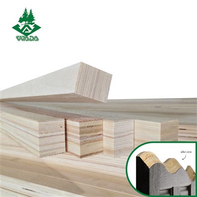 Isakhelo socango lweLVL